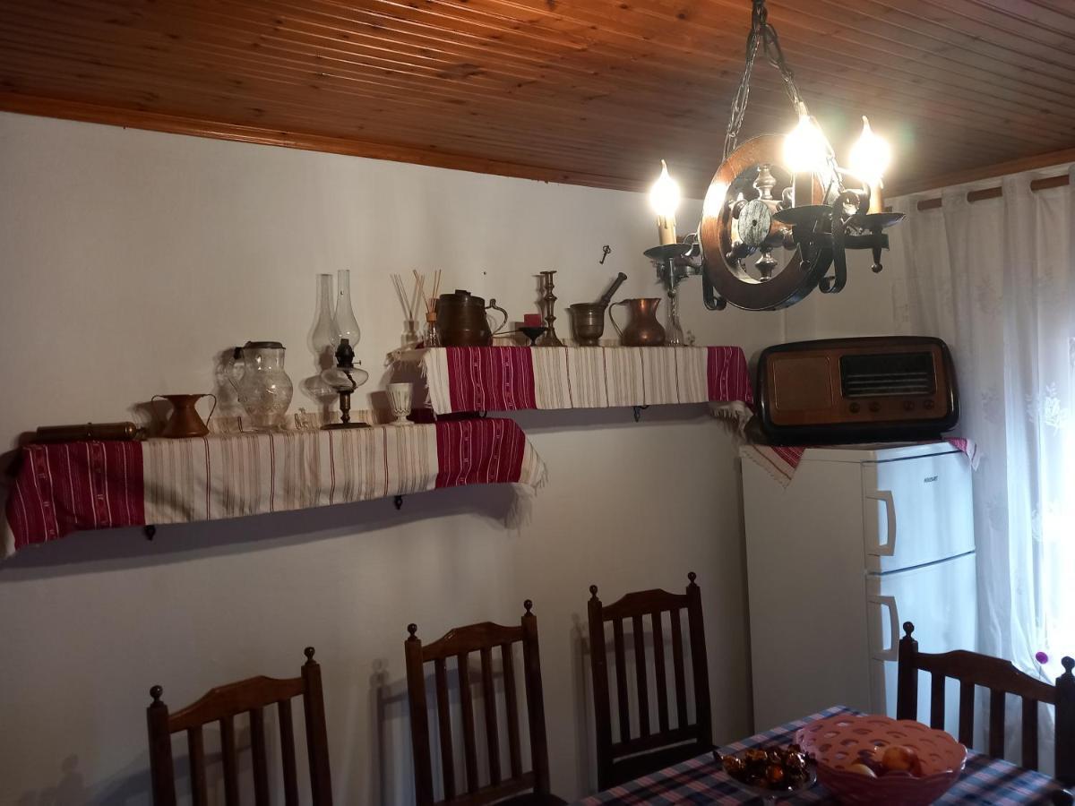 Rooms For Rent Shkodër Dış mekan fotoğraf